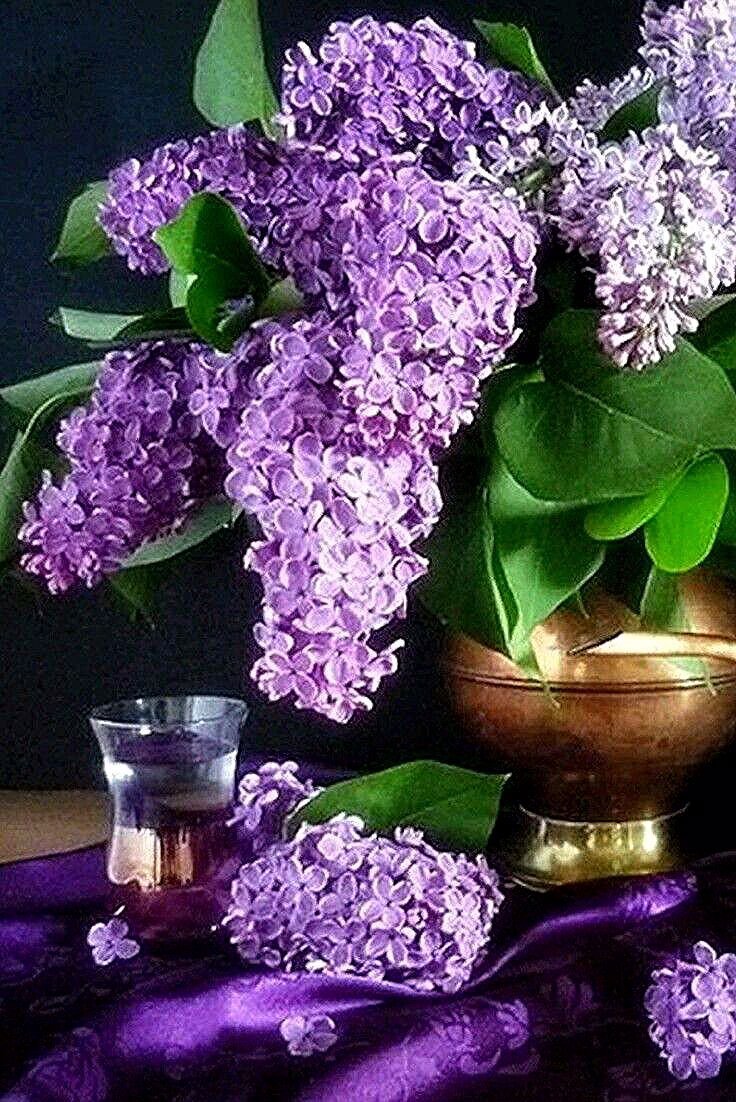 Красивый лунный пейзаж