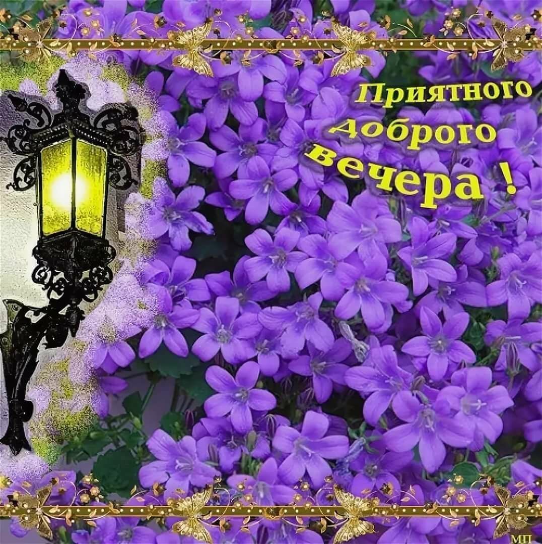 Море цветов в ночи