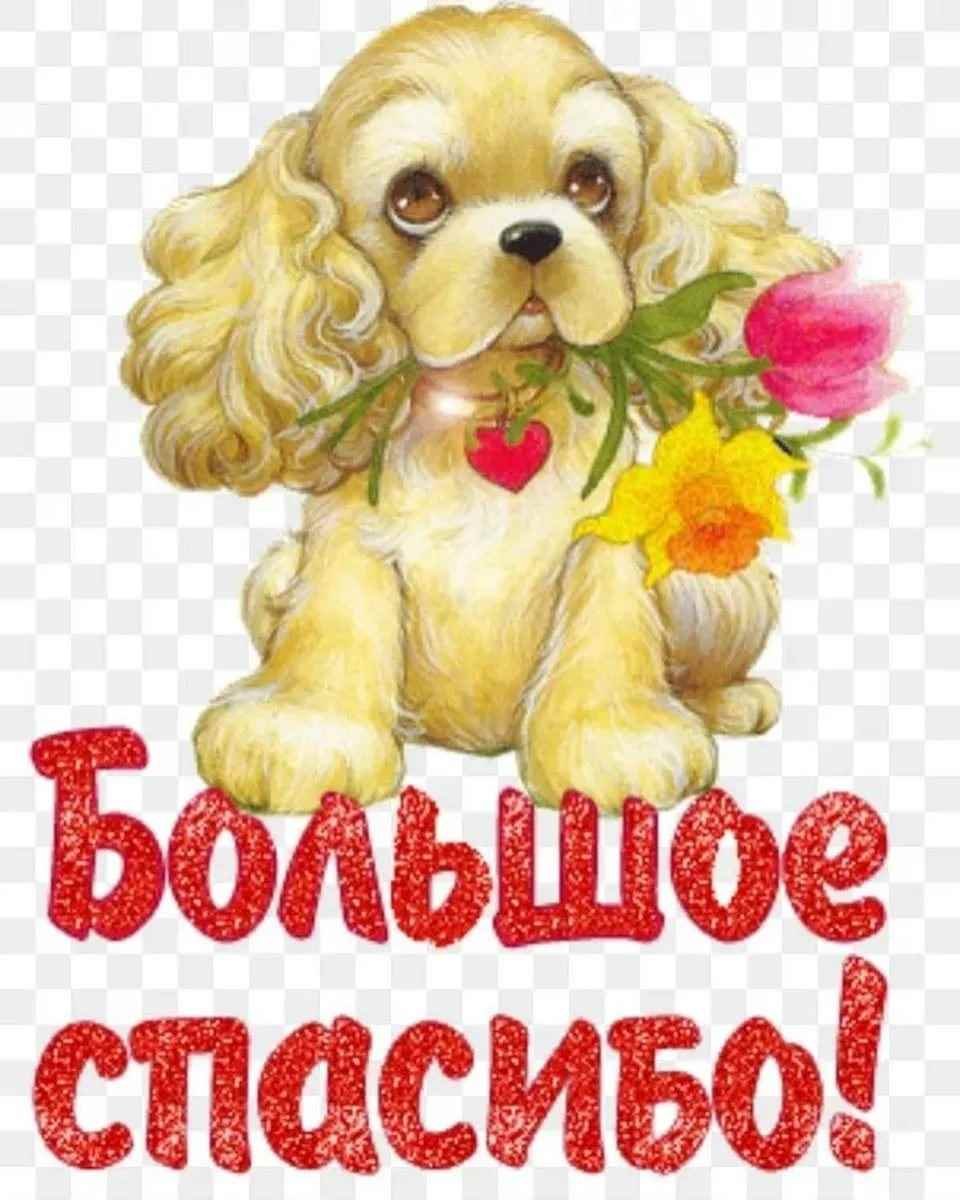 Спасибо вам