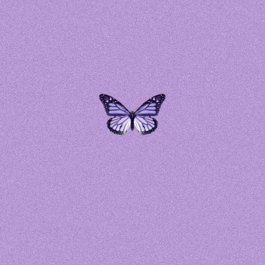 Эстетика фиолетового цвета бабочки