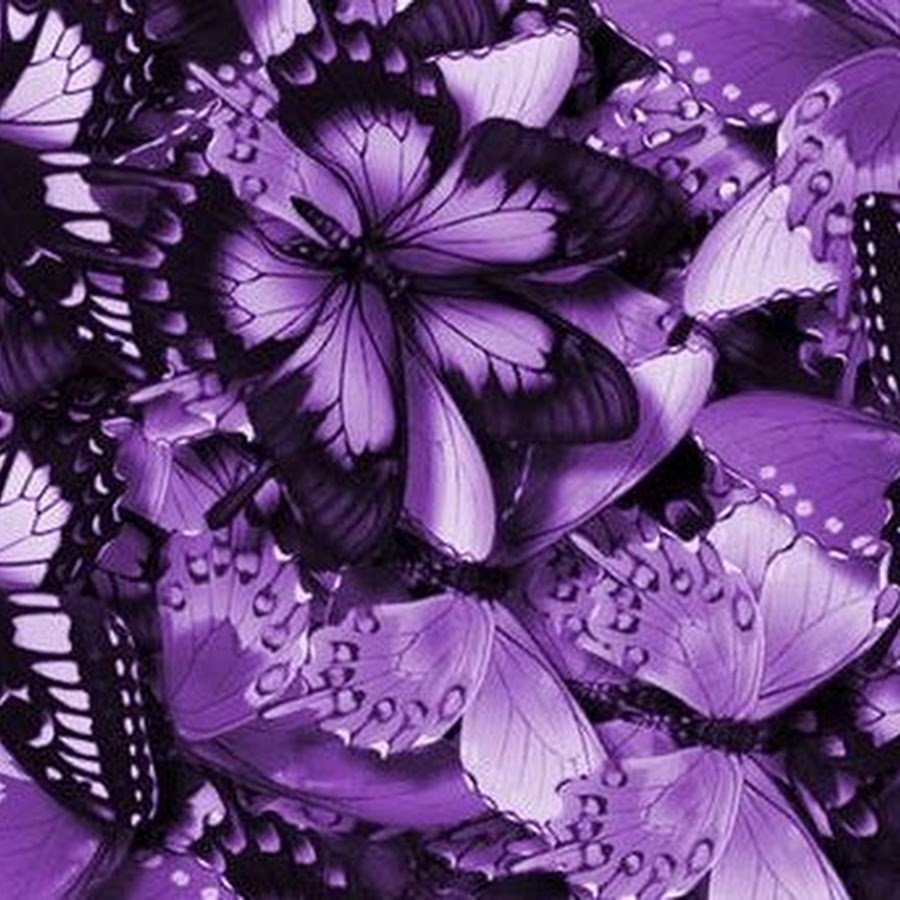 Сиреневые бабочки картинки