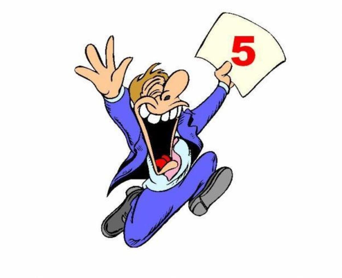 Коты в школе