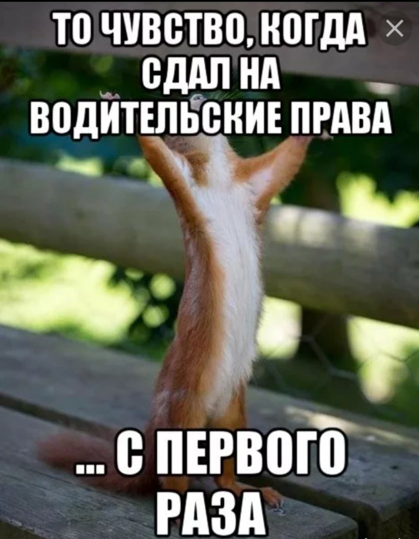 Когда сдал все экзамены