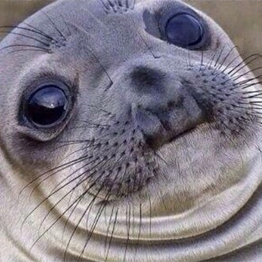 Птичка ТЭК блэт