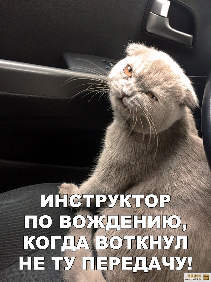 Прикольные таблички для машины