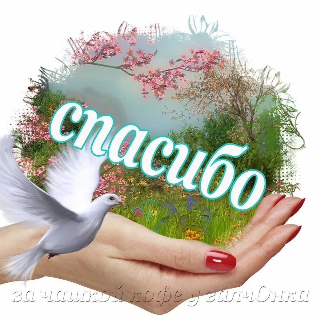 Благодарю картинки