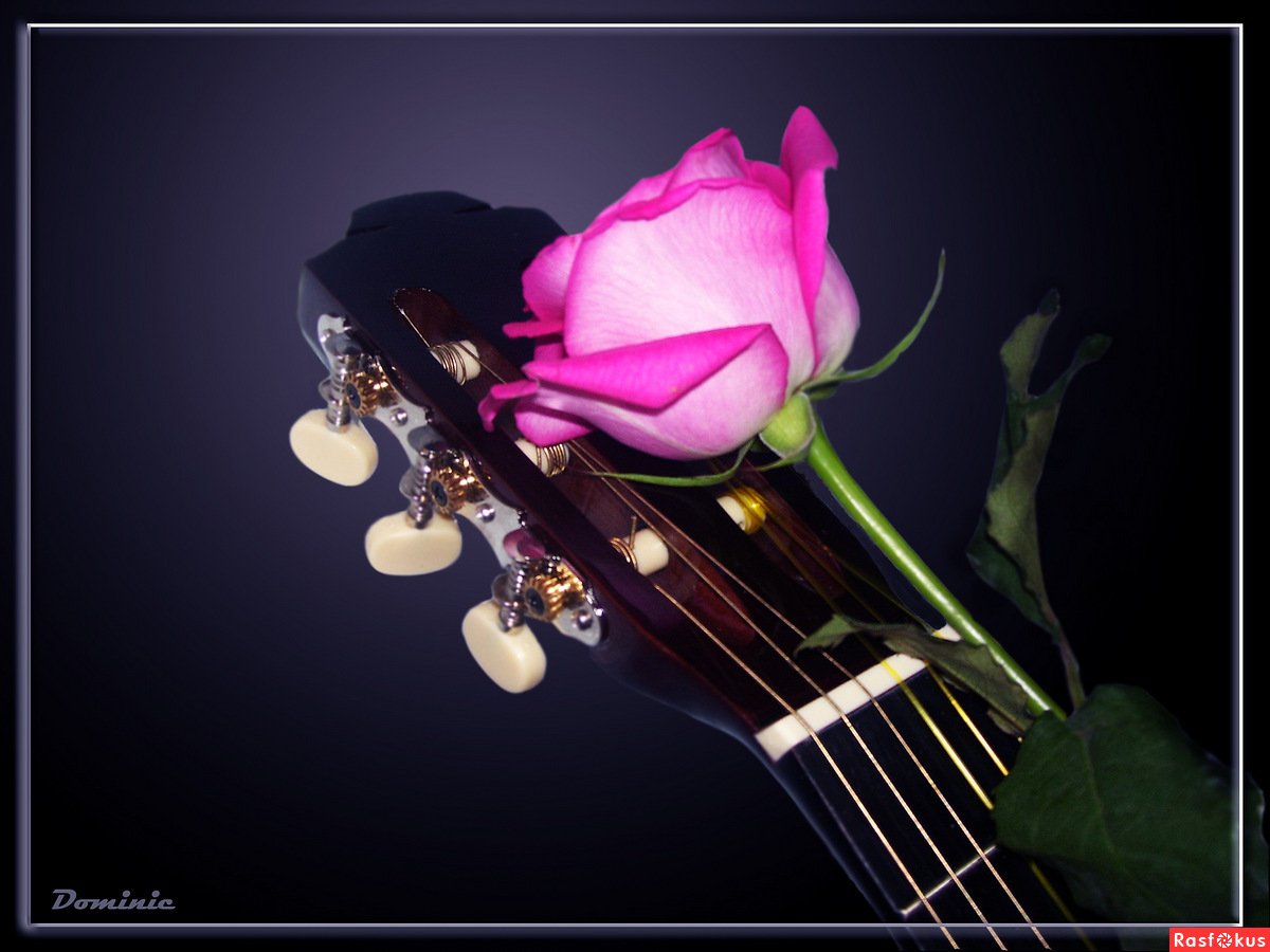 1 канал песни от всей души. Музыкальный цветок. Цветы для музыканта. Гитара с цветами. Музыкальный букет цветов.