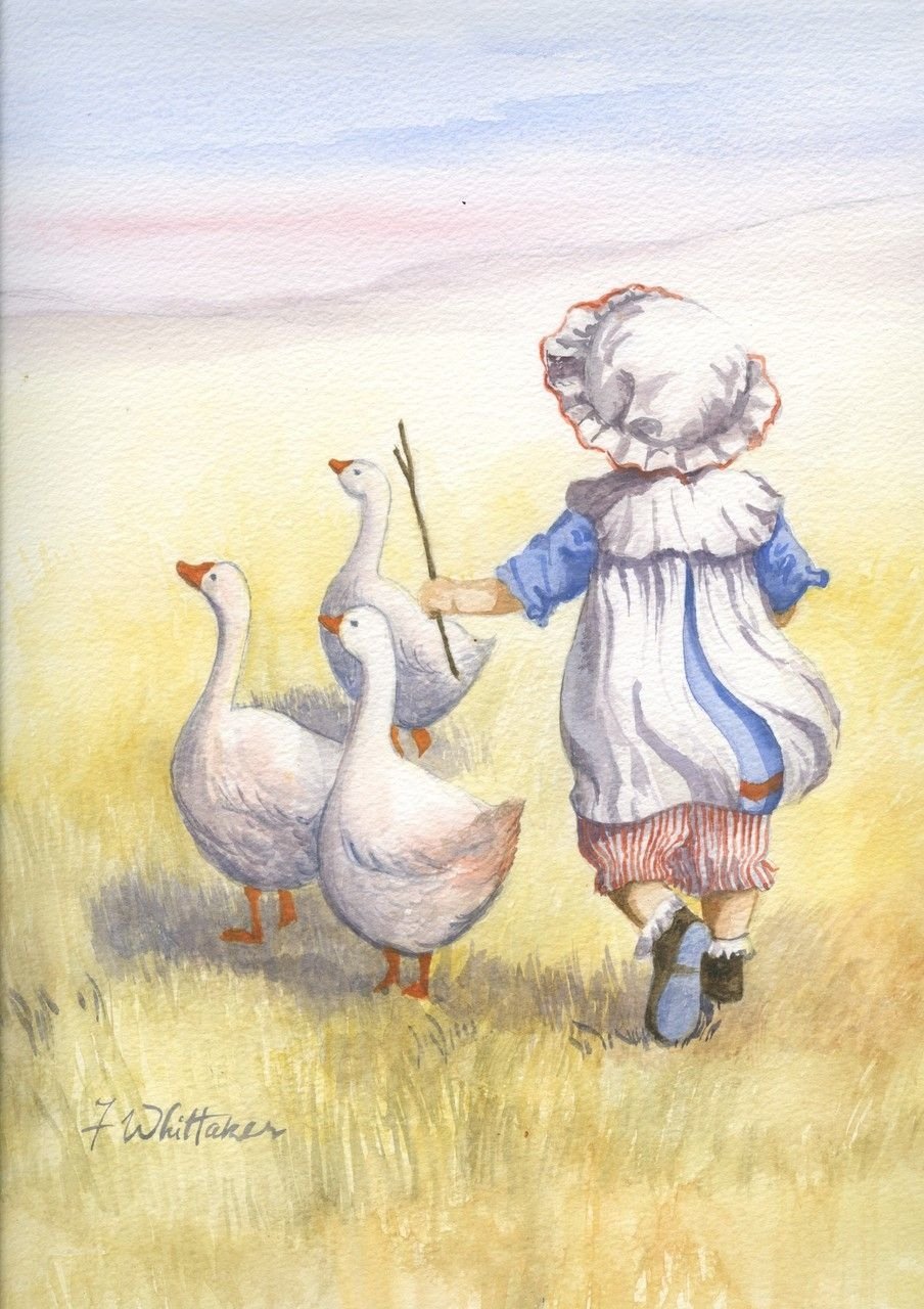 Серый и белый Гусь