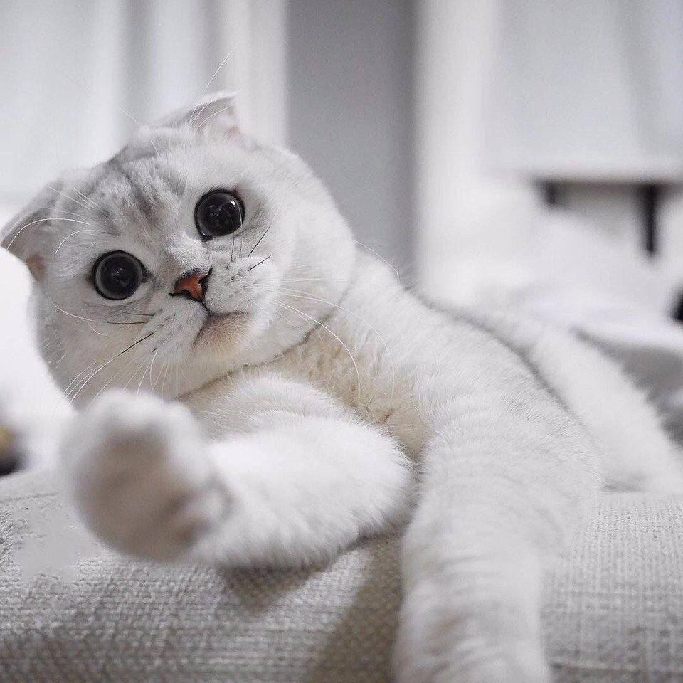 С добрым утром понедельника