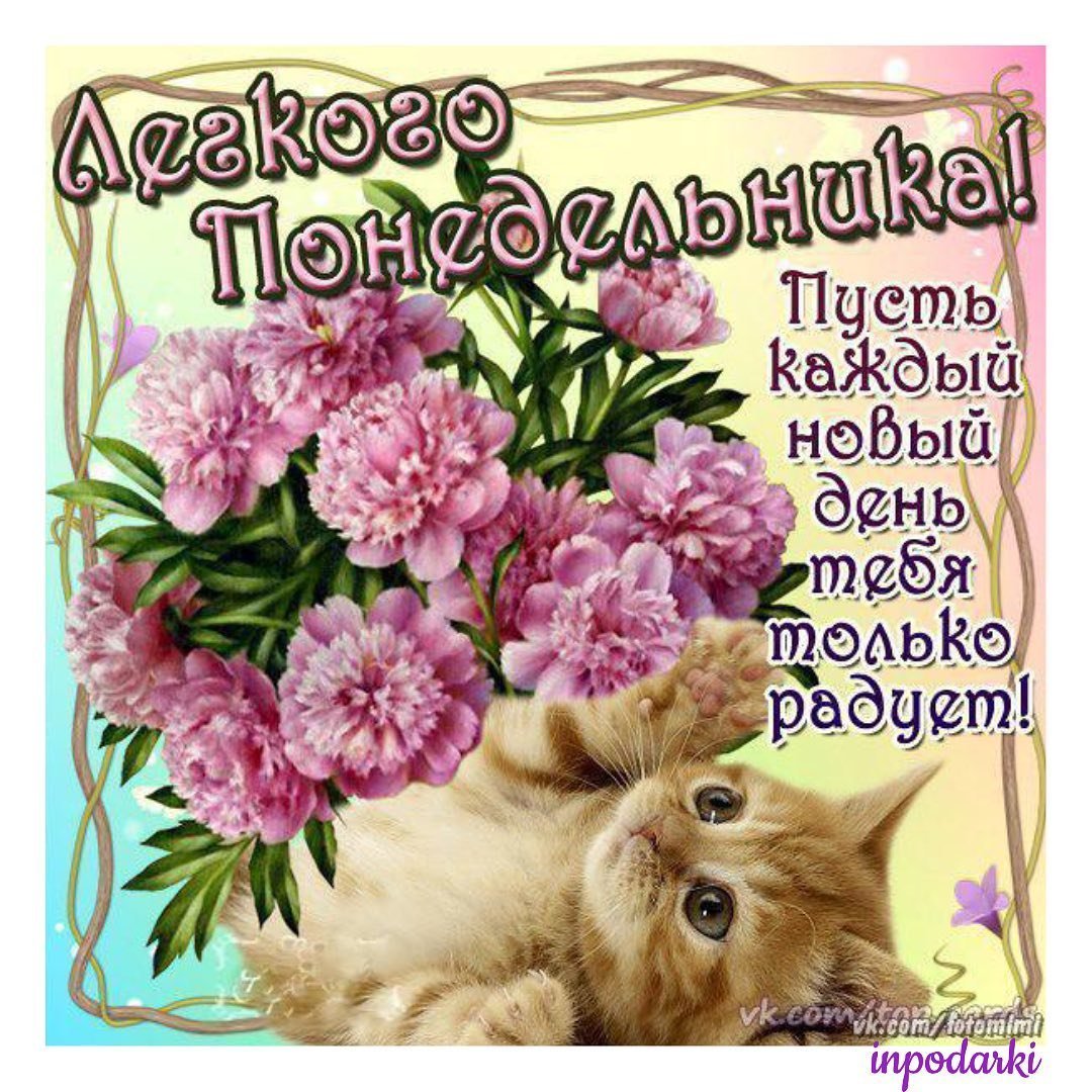 Открытки с понедельником