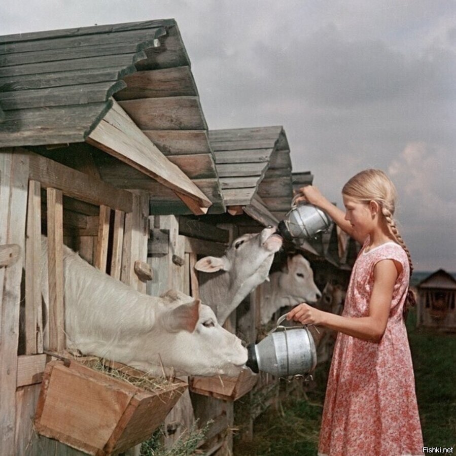 Фотограф семён Осипович Фридлянд дети