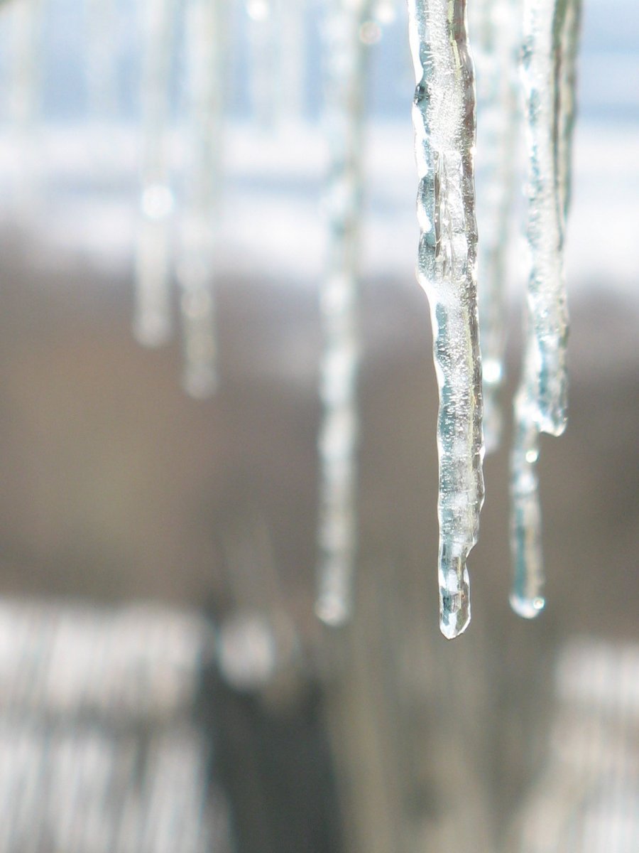 Капель весной