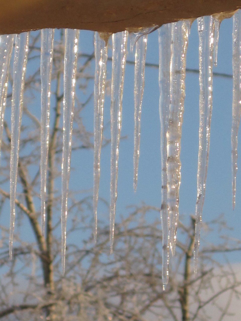 Сосульки на голубом фоне