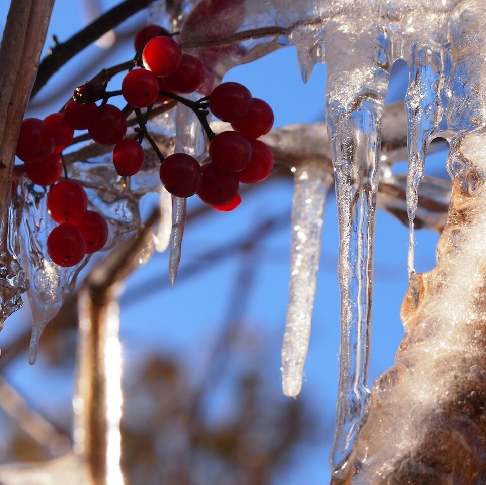 Весна капель