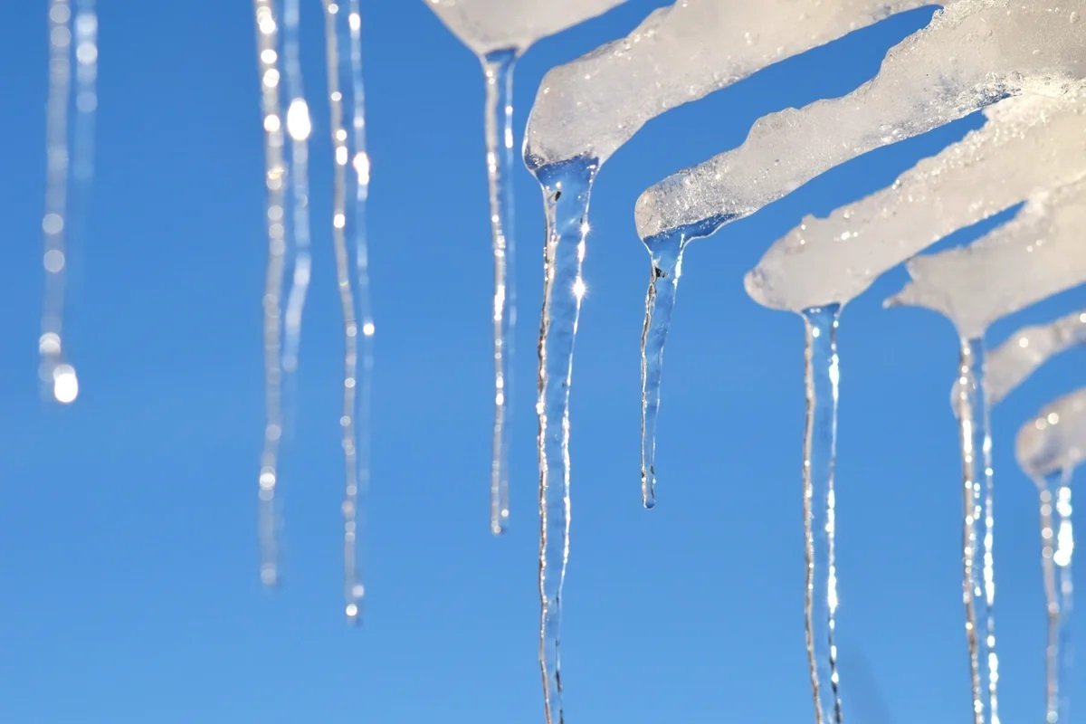 Василий капельник 13 марта