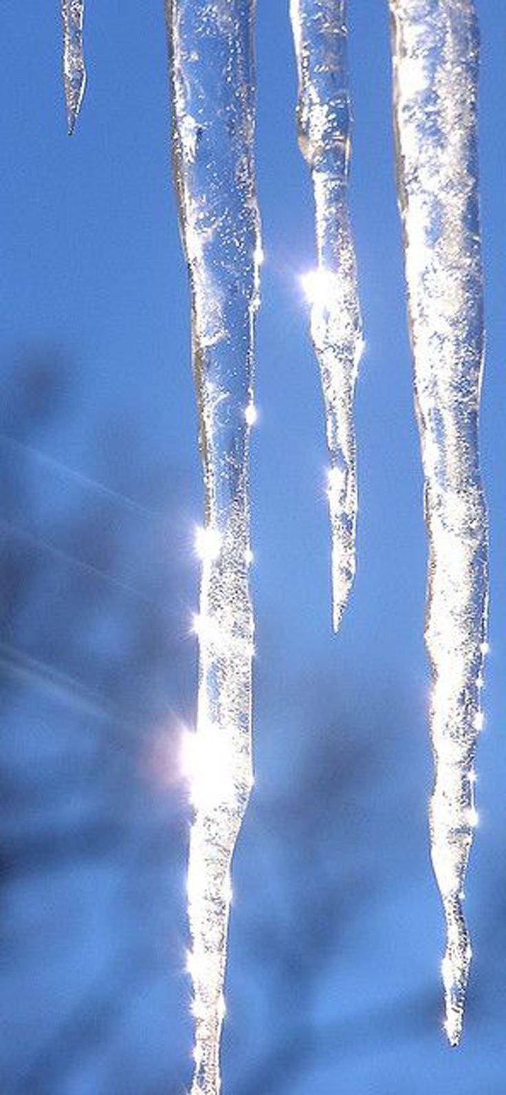 Мартовская капель