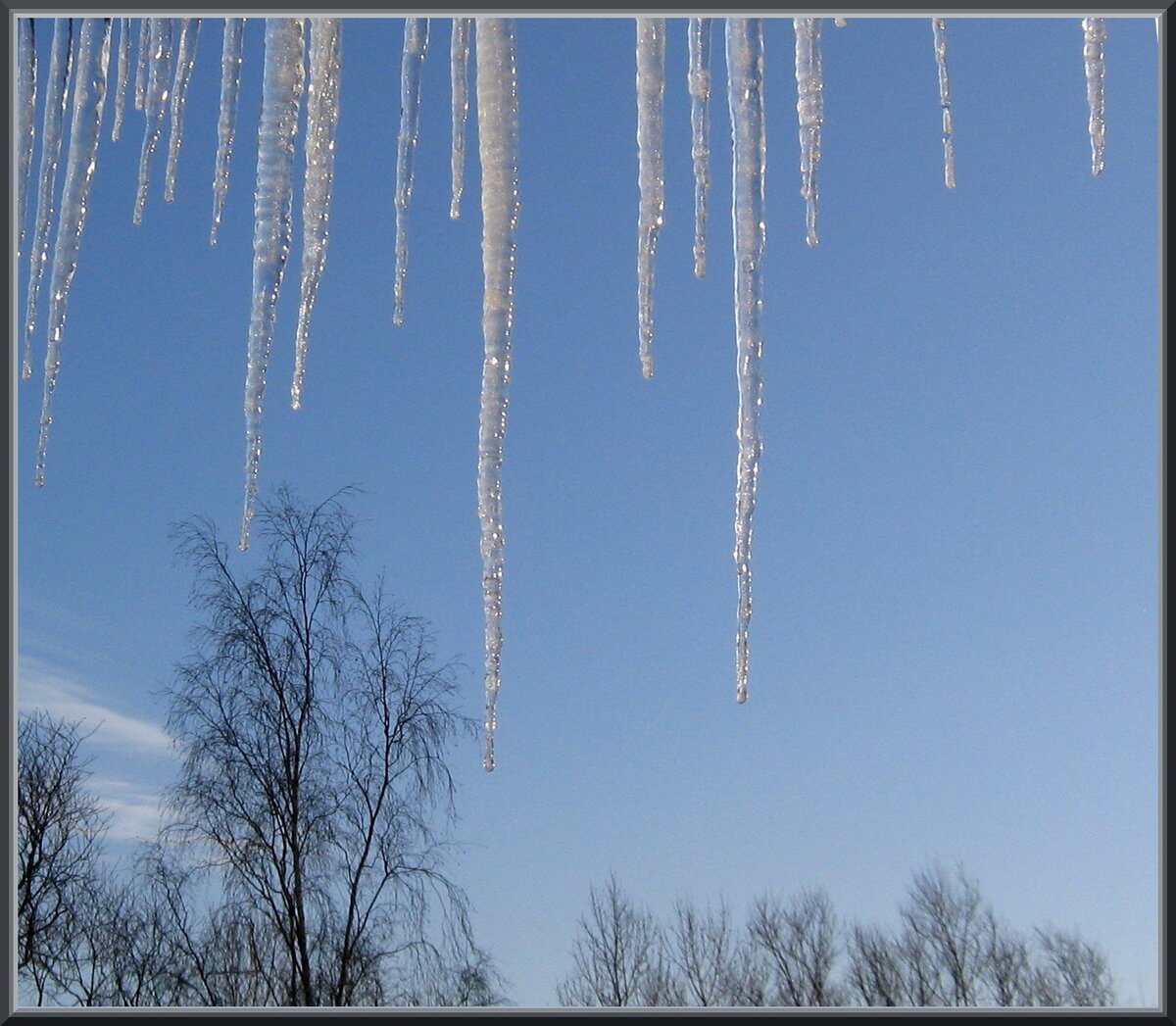 Сосульки капель