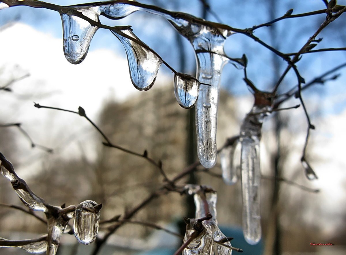 Гирлянда в виде капели весенней