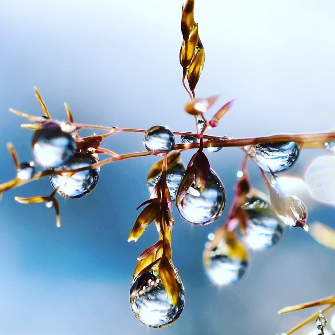 Тающие сосульки