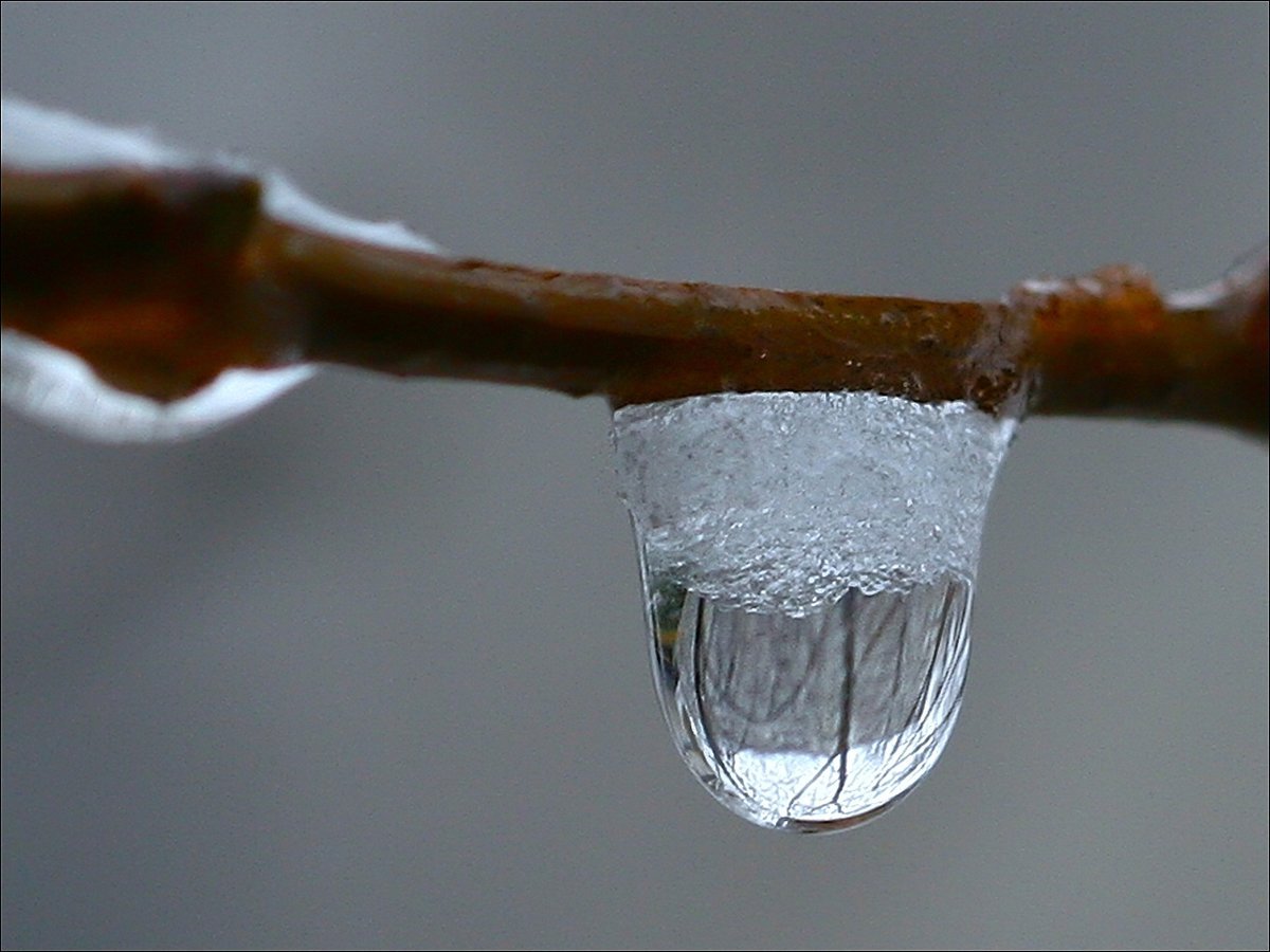 Подснежники снег солнце