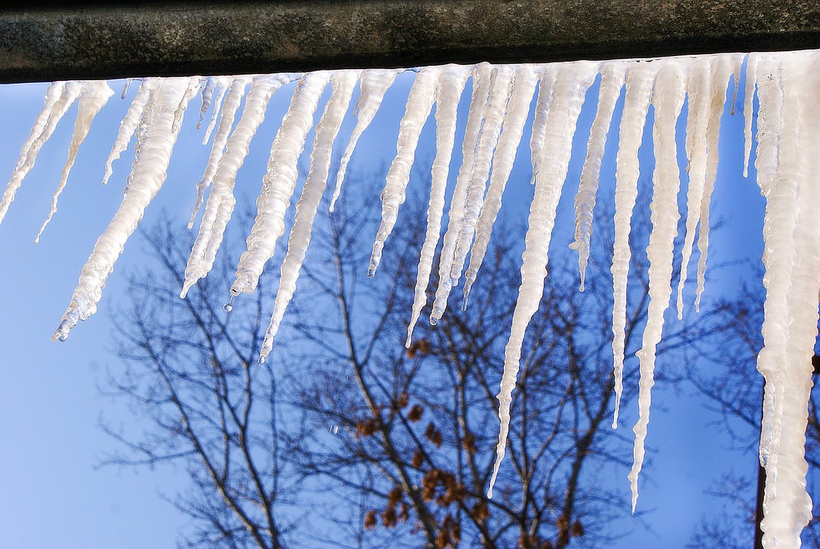 Весна капель