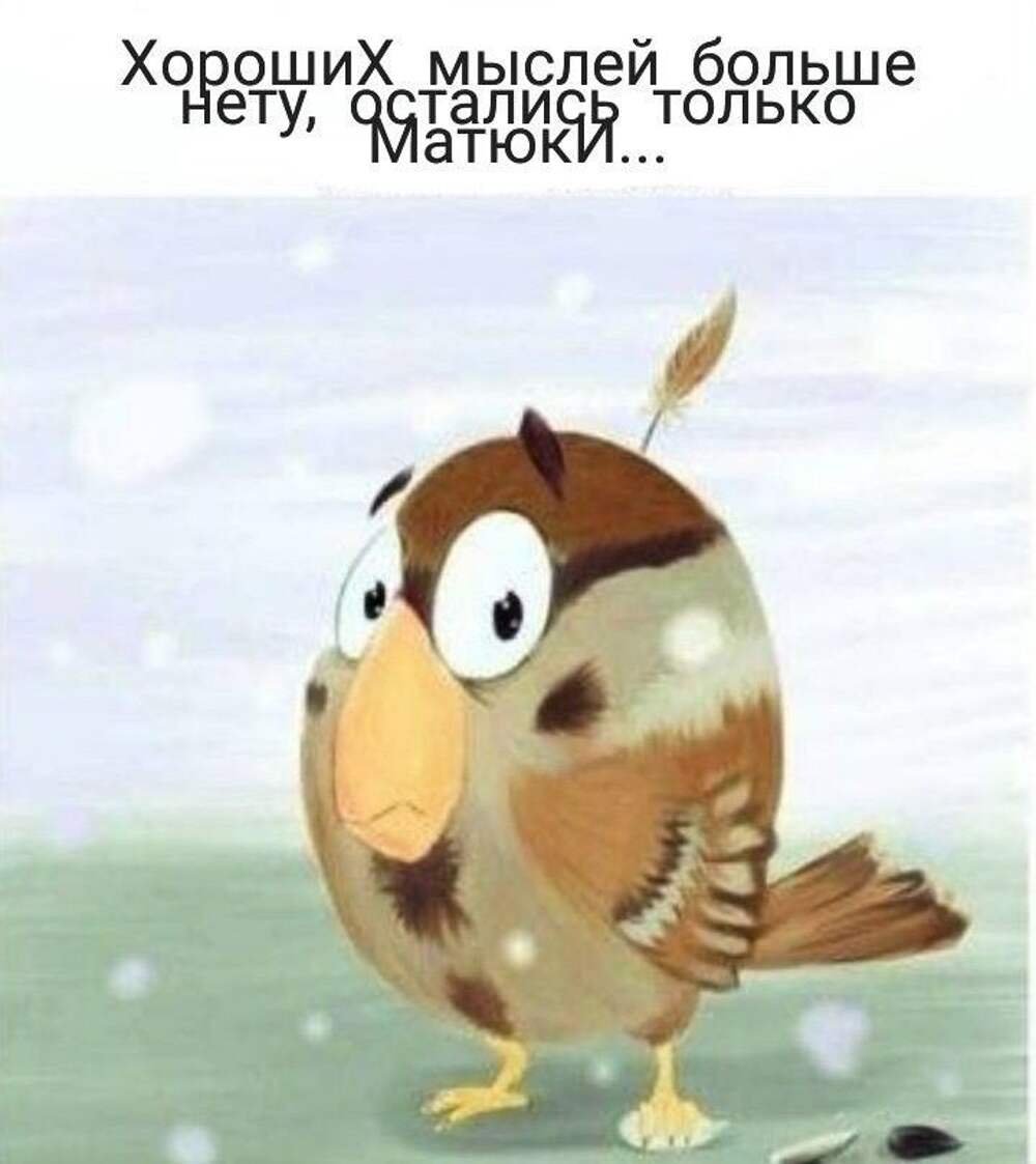 Фон для презентации Воробей