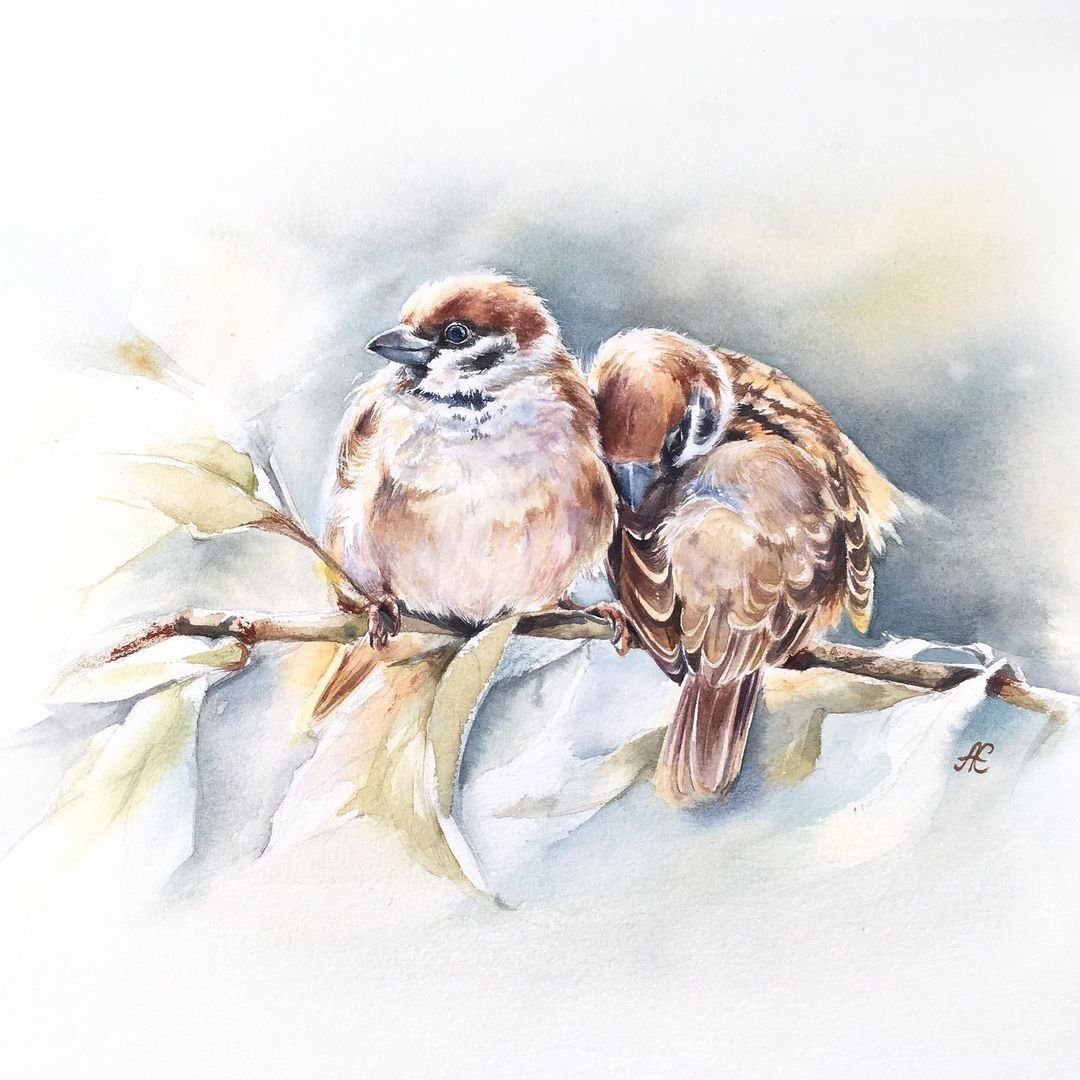 Воробушек вектор