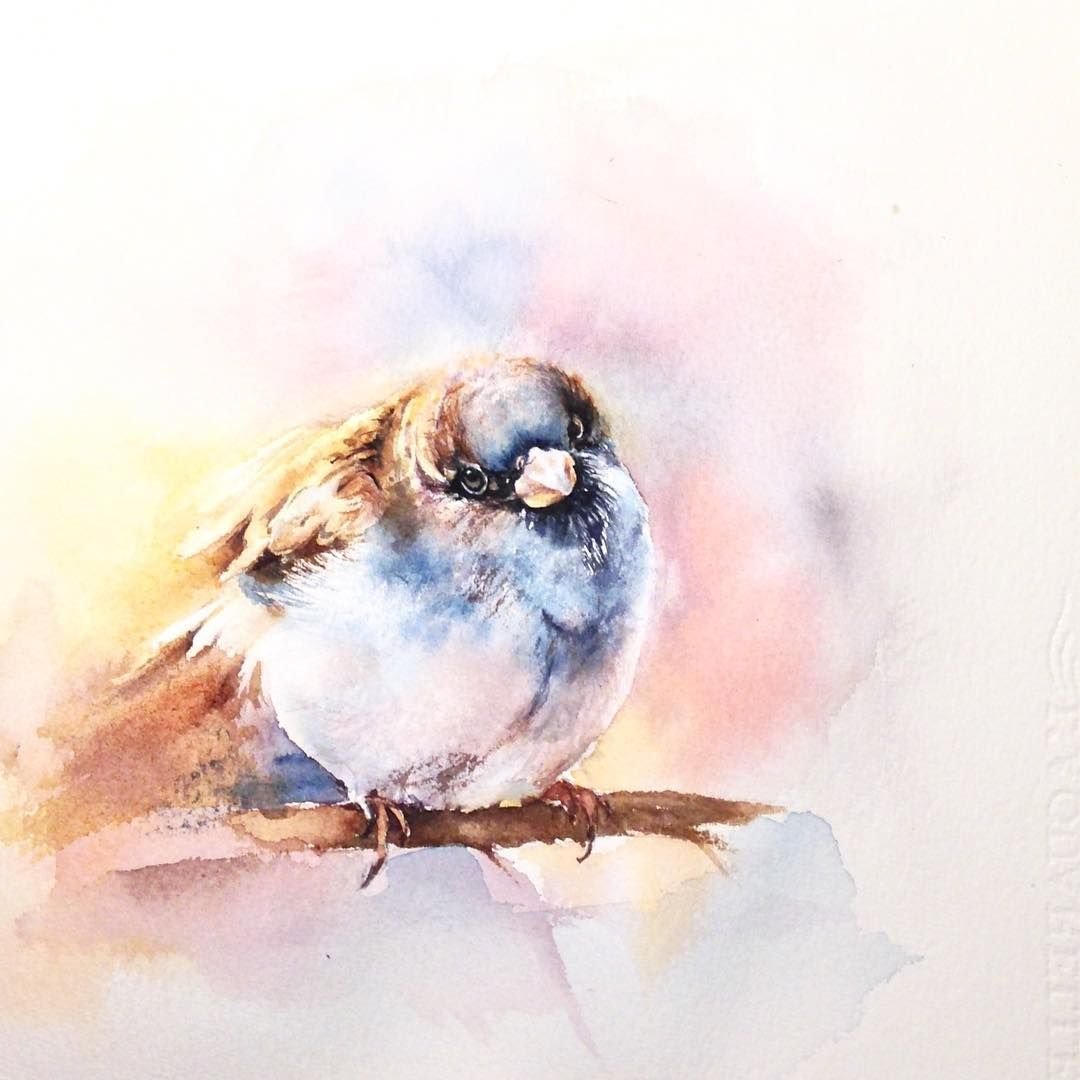 Птицы на снегу