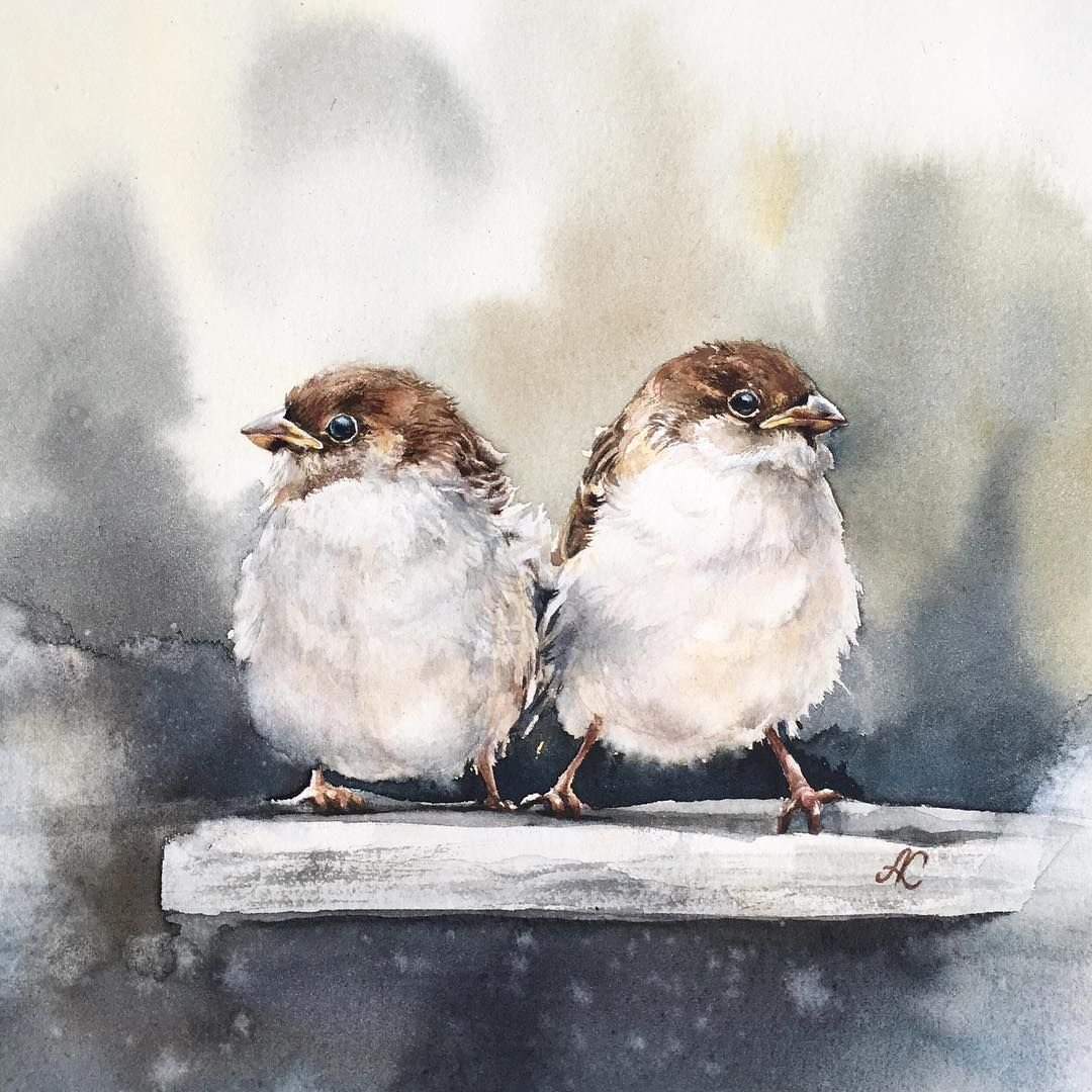 Новогодняя открытка заяц с птичками