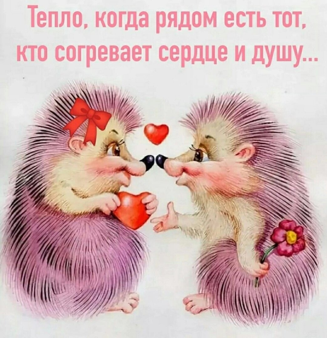 Поцелуй ежика