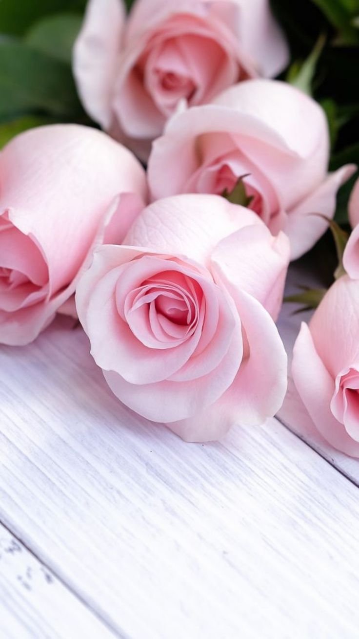 Розовые розы на столе