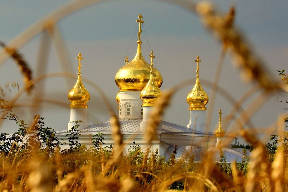 Купола церкви и природа