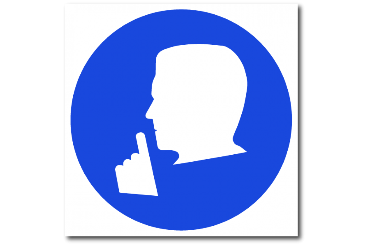 Коты художницы Марии Павловой