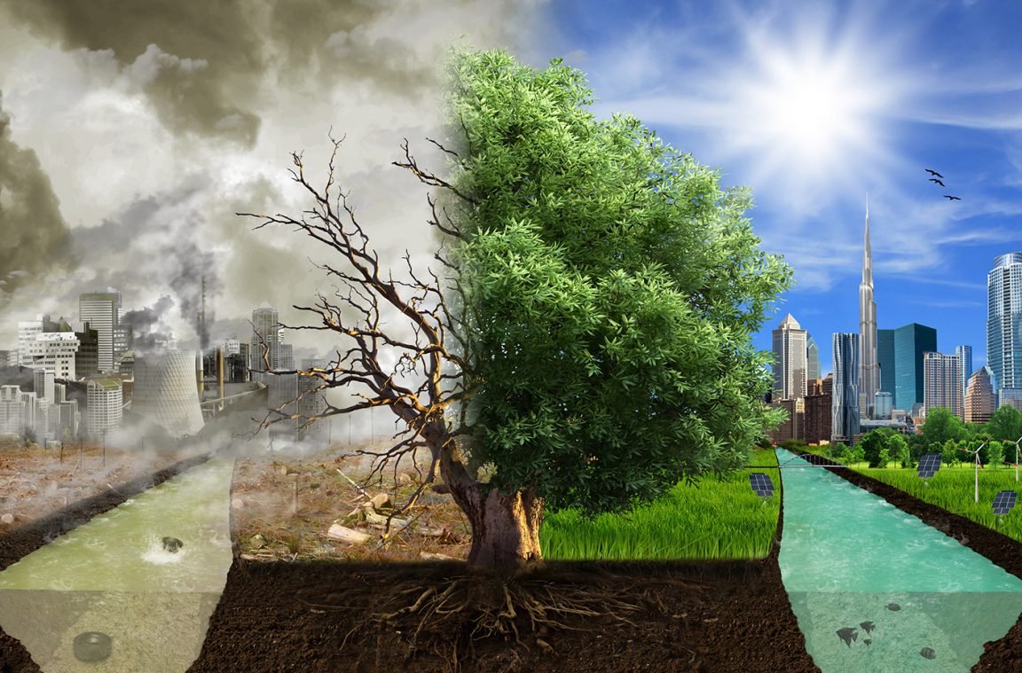 Природа до и после человека