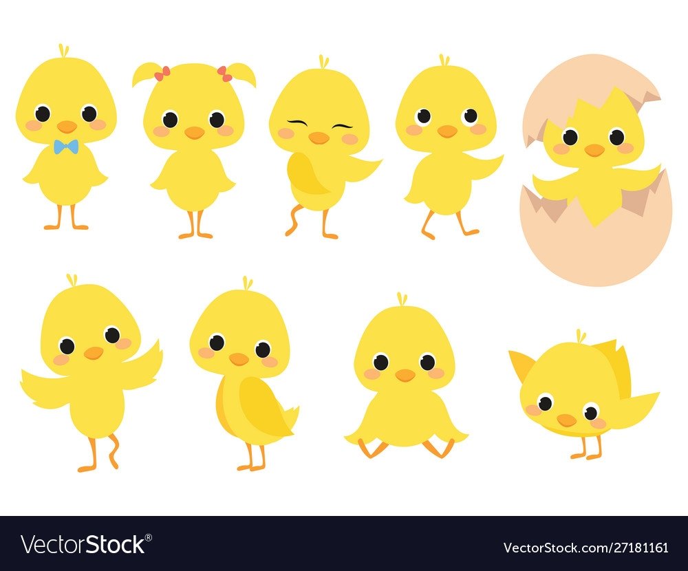 Цыпленок желтый картинка