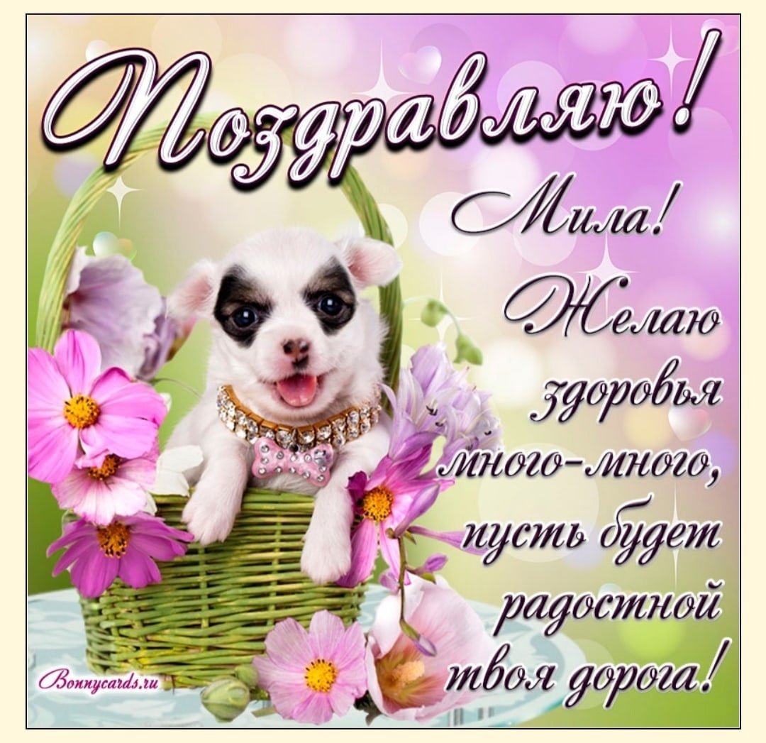 Торт с днем рождения!