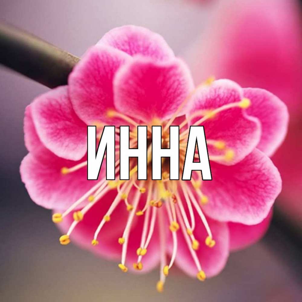 Ульяна Бесконечное лето с др