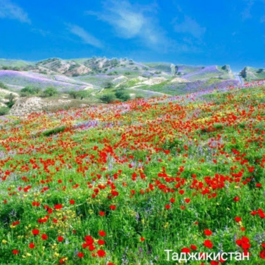 Табиати Душанбе