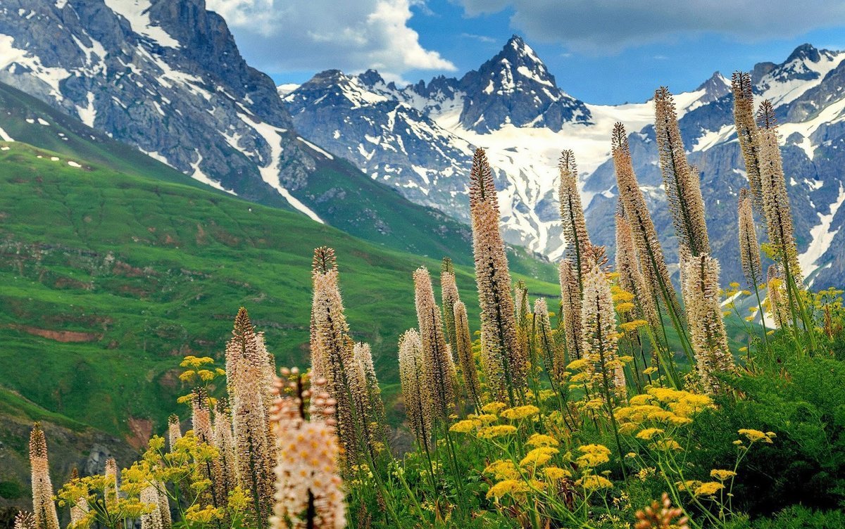 Природа Таджикистана Рамит