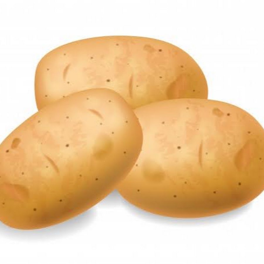 Картофель вектор