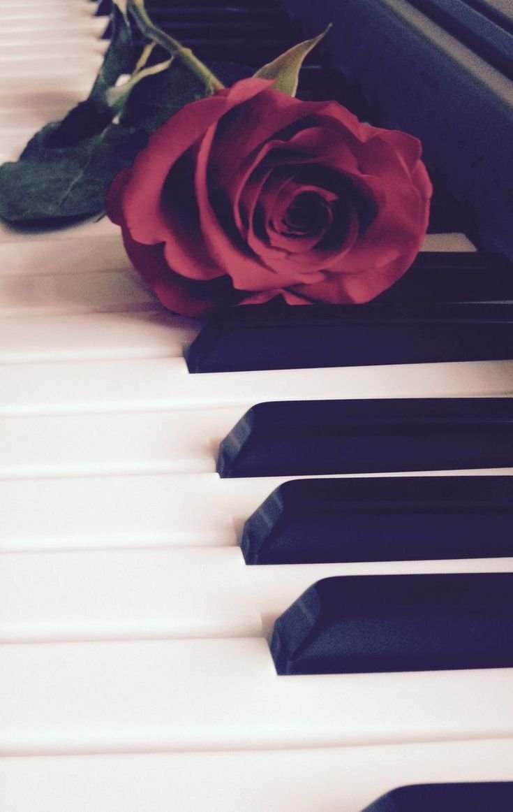 Пианино с розой Эстетика