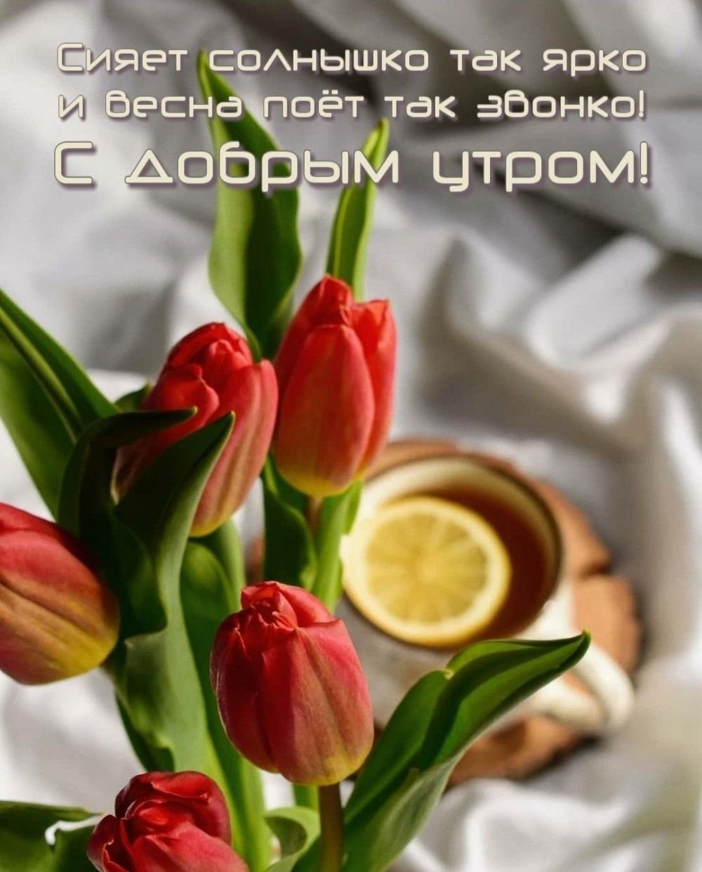 Летнего настроения пожелания