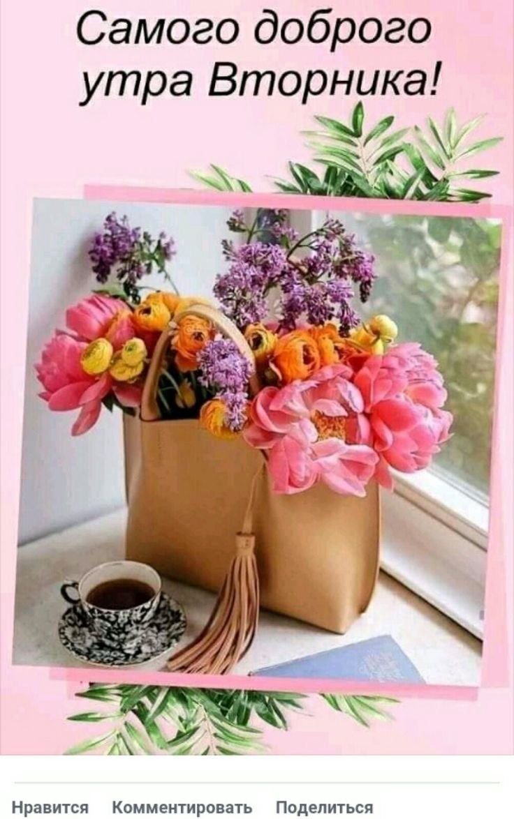 Доброе утро вторника необычные картинки