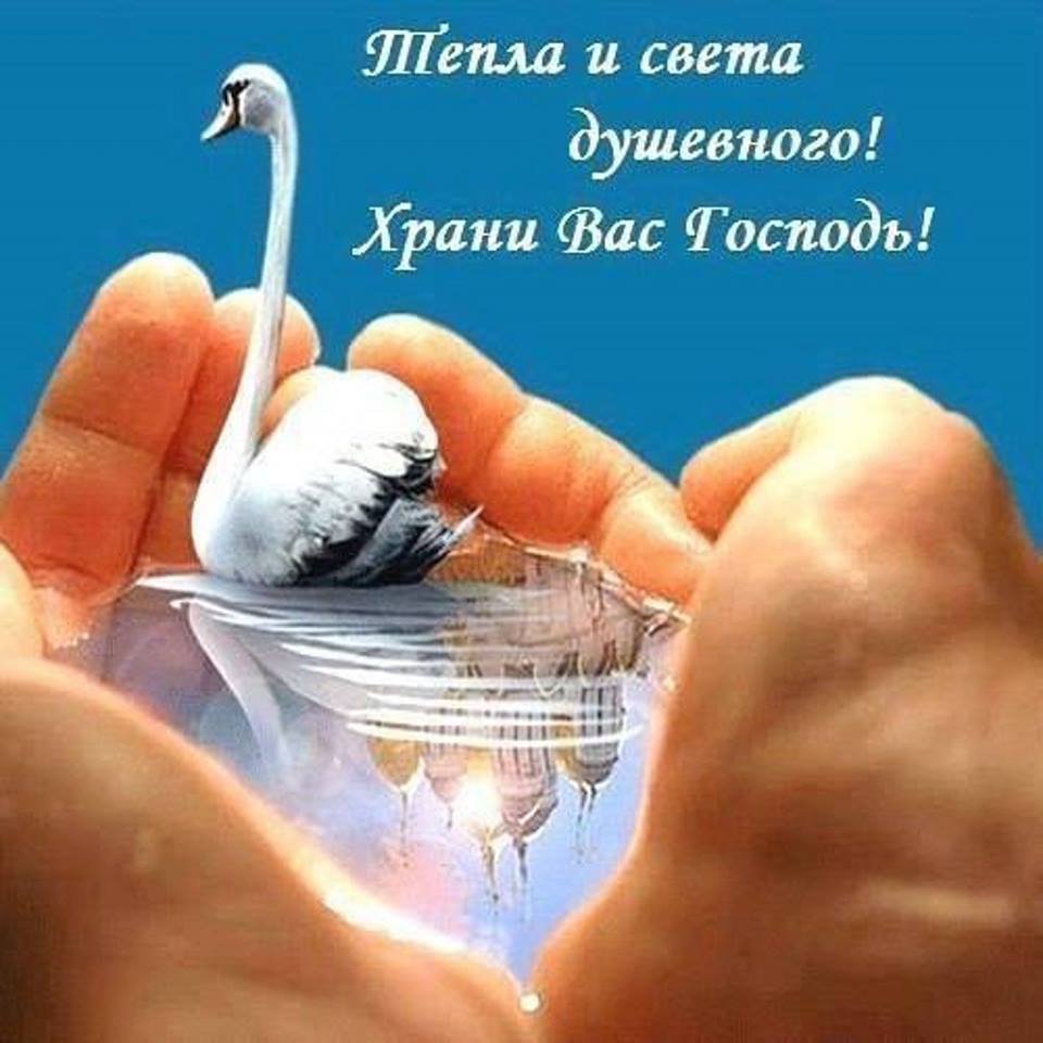 Душевные открытки