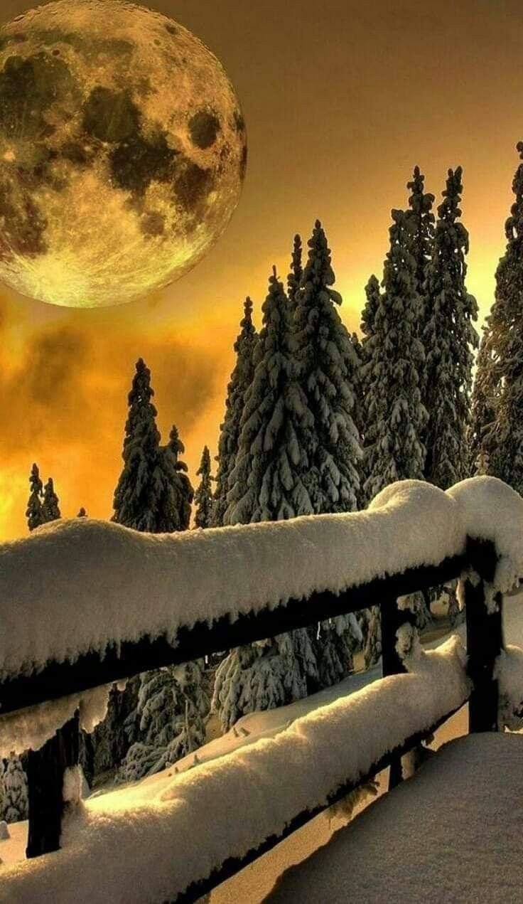 Красивый зимний фон