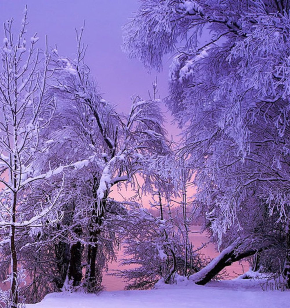 Зимние обои вертикальные