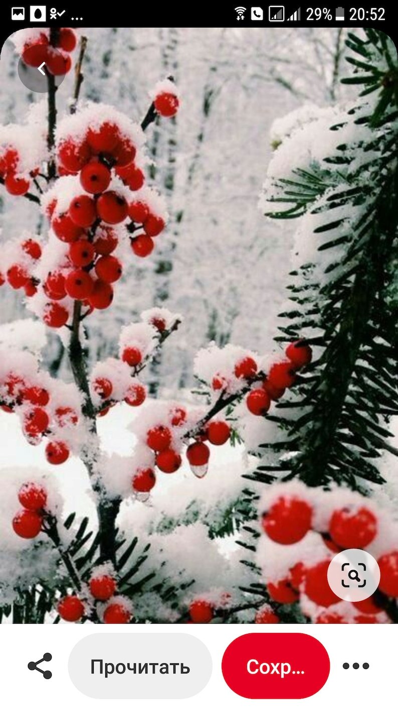 Зимний пейзаж вертикальный