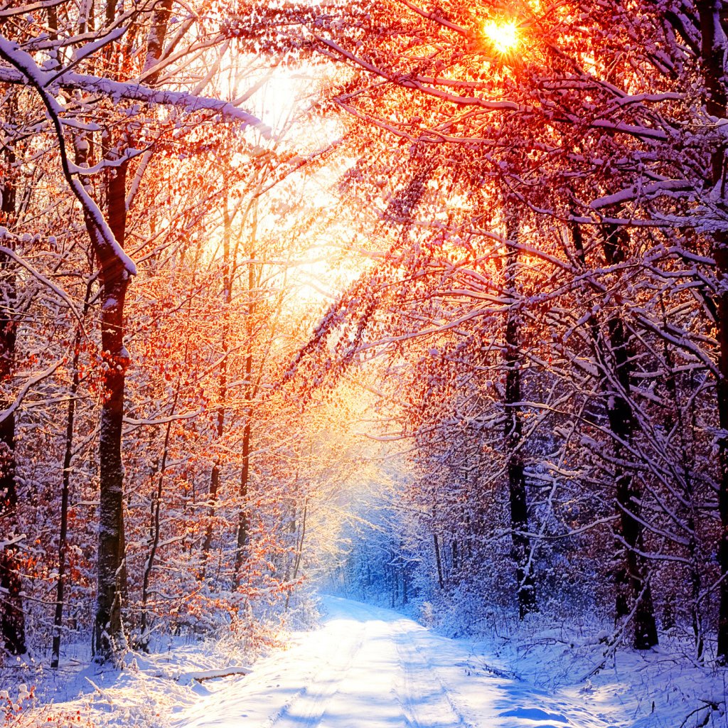 Зимний вечер