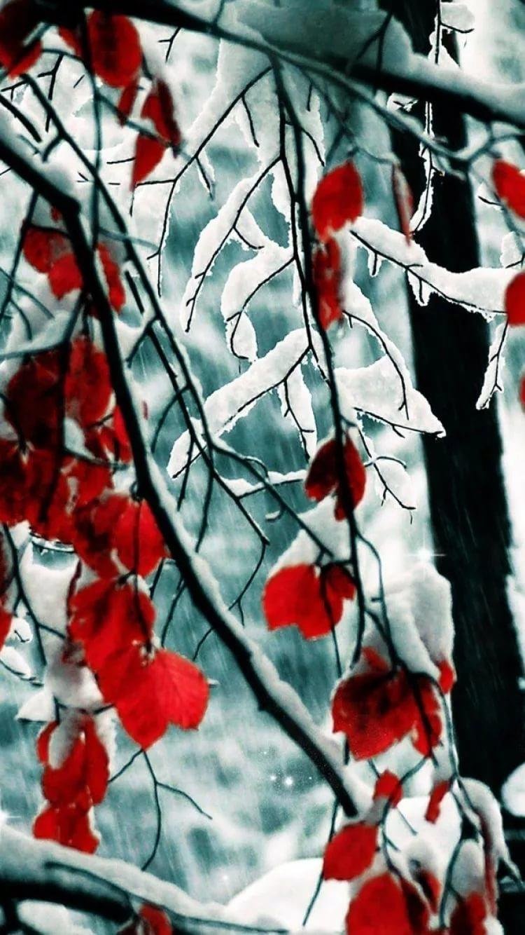 Яркий зимний пейзаж