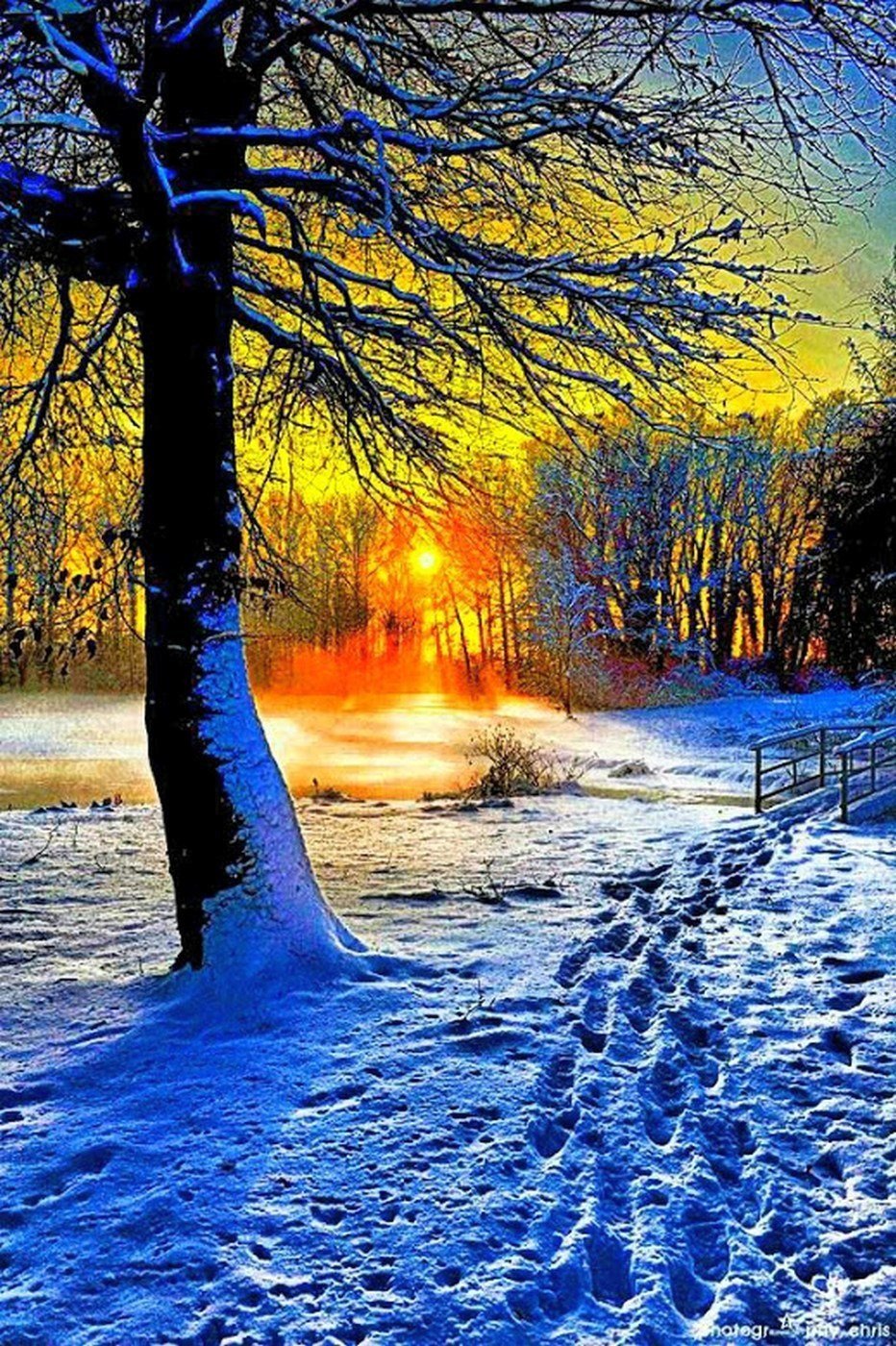 Солнечный зимний день